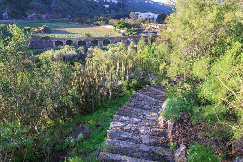 La actividad forma parte del programa que difunde la singularidad de los jardines históricos de Gran Canaria (Foto TA)